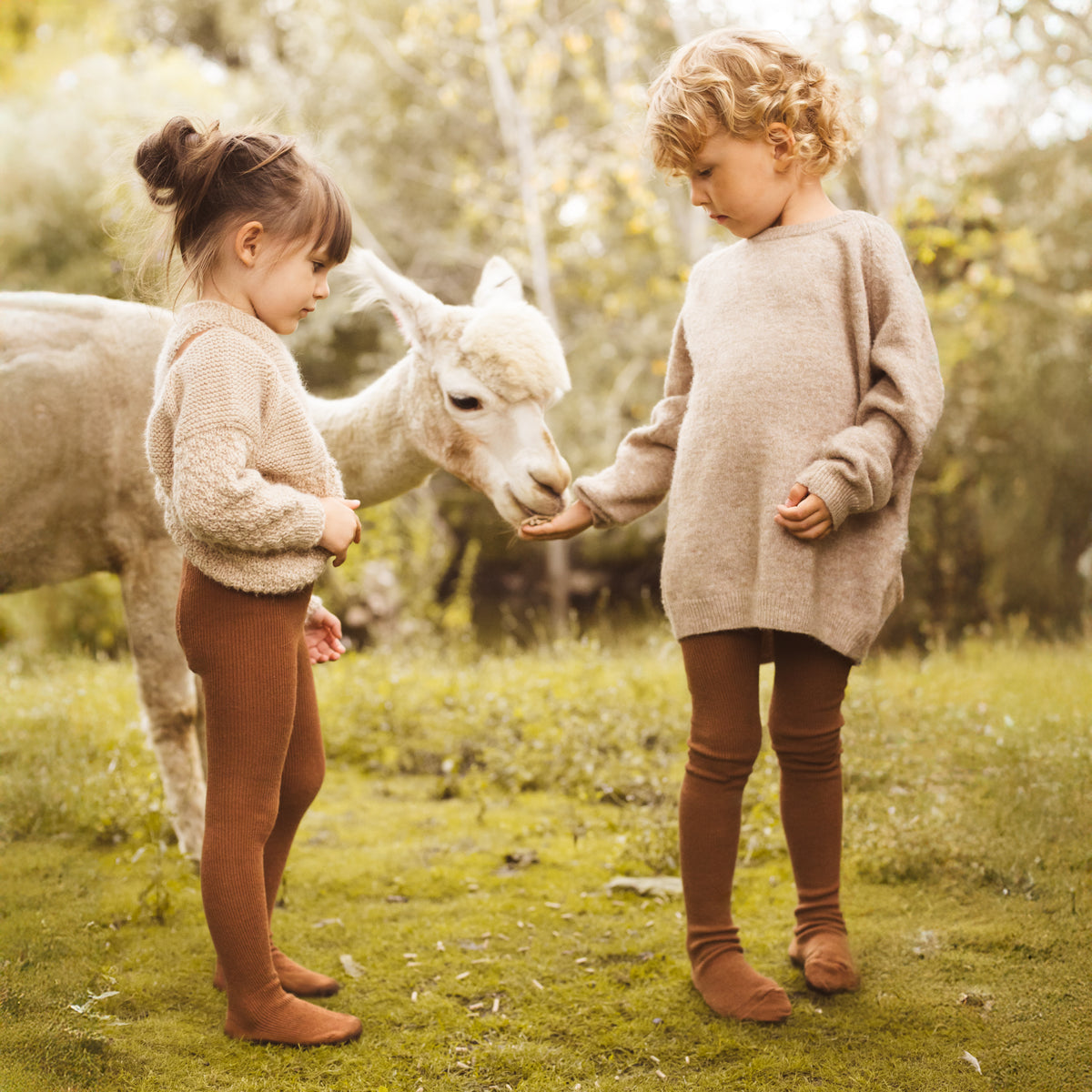 Punčocháče s kšandami s příměsí baby alpaky vlny - Oříškově hnědá